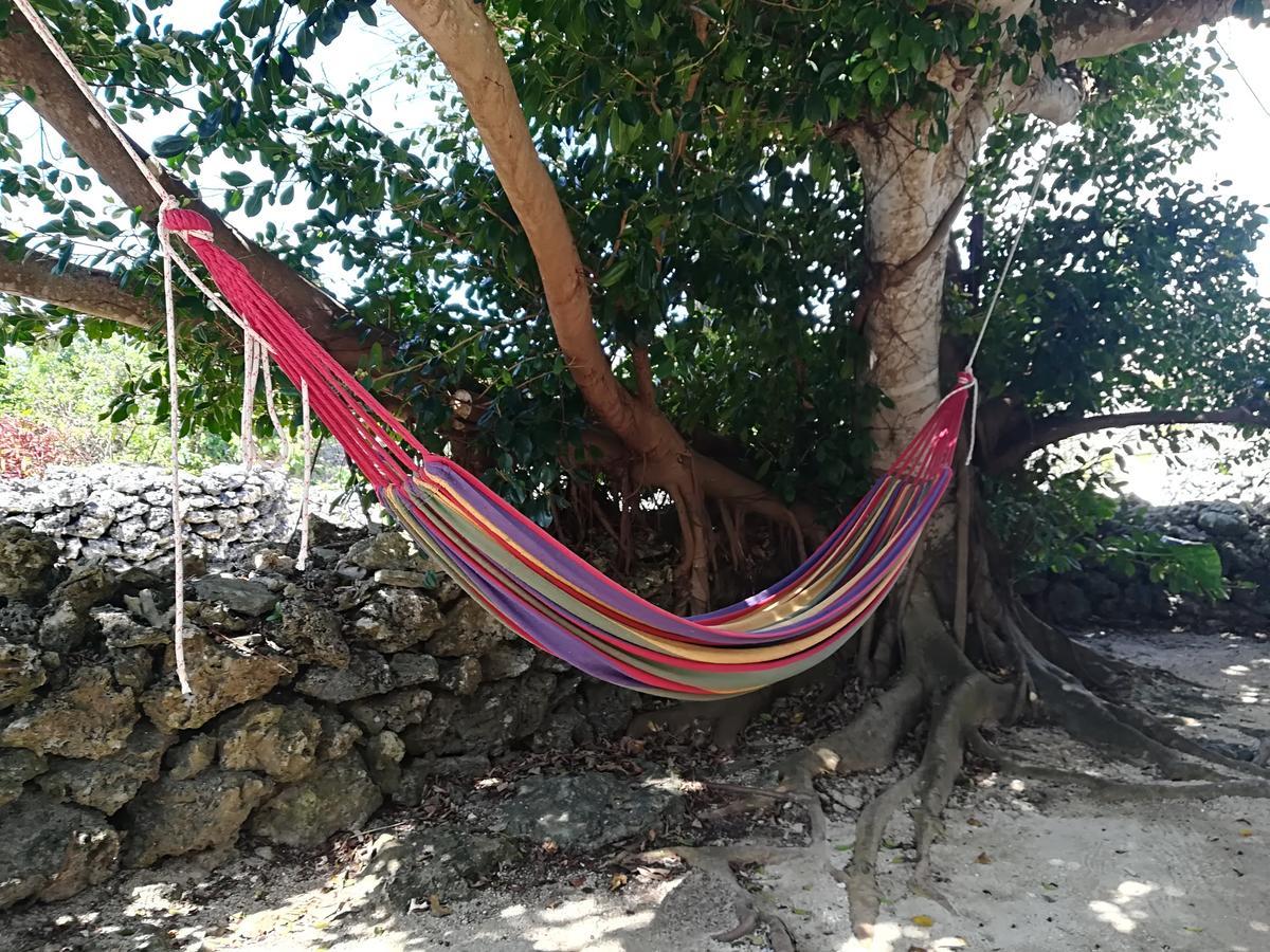 Taketomijima Guesthouse And Je Taime Εξωτερικό φωτογραφία